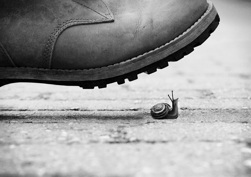 Snail under Boot