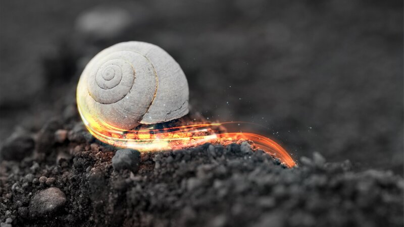 Snail with Glowing Trail — Gray, Dramatic