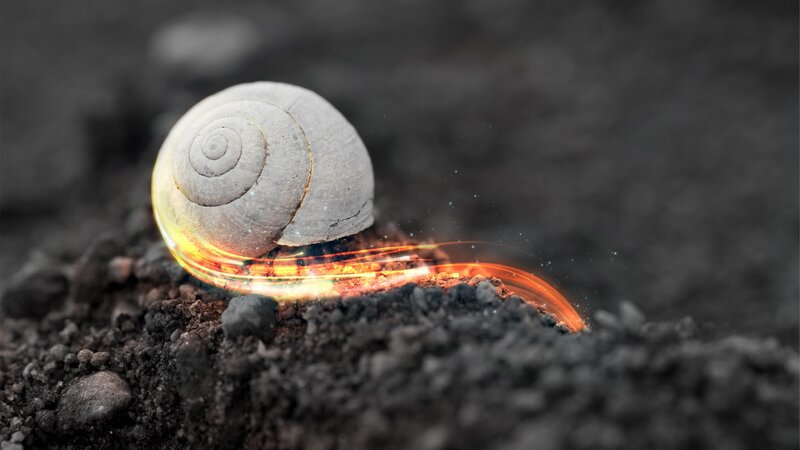 snail with glowing trail