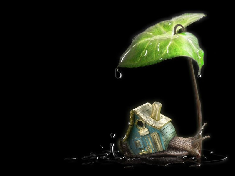 Snail with House and Leaf — Green