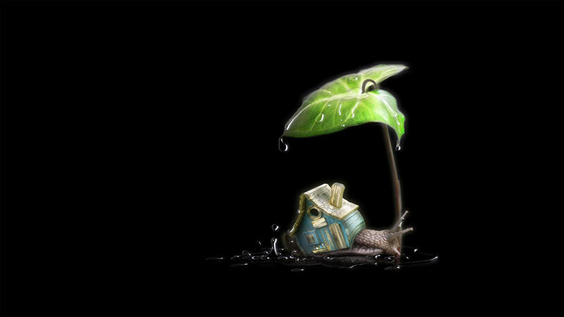Snail with House and Leaf