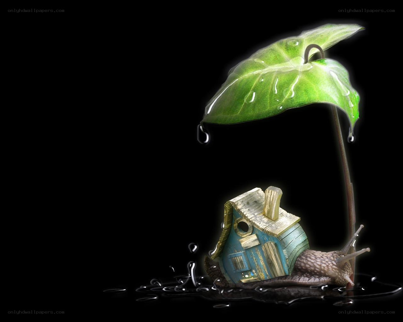 snail with leaf umbrella