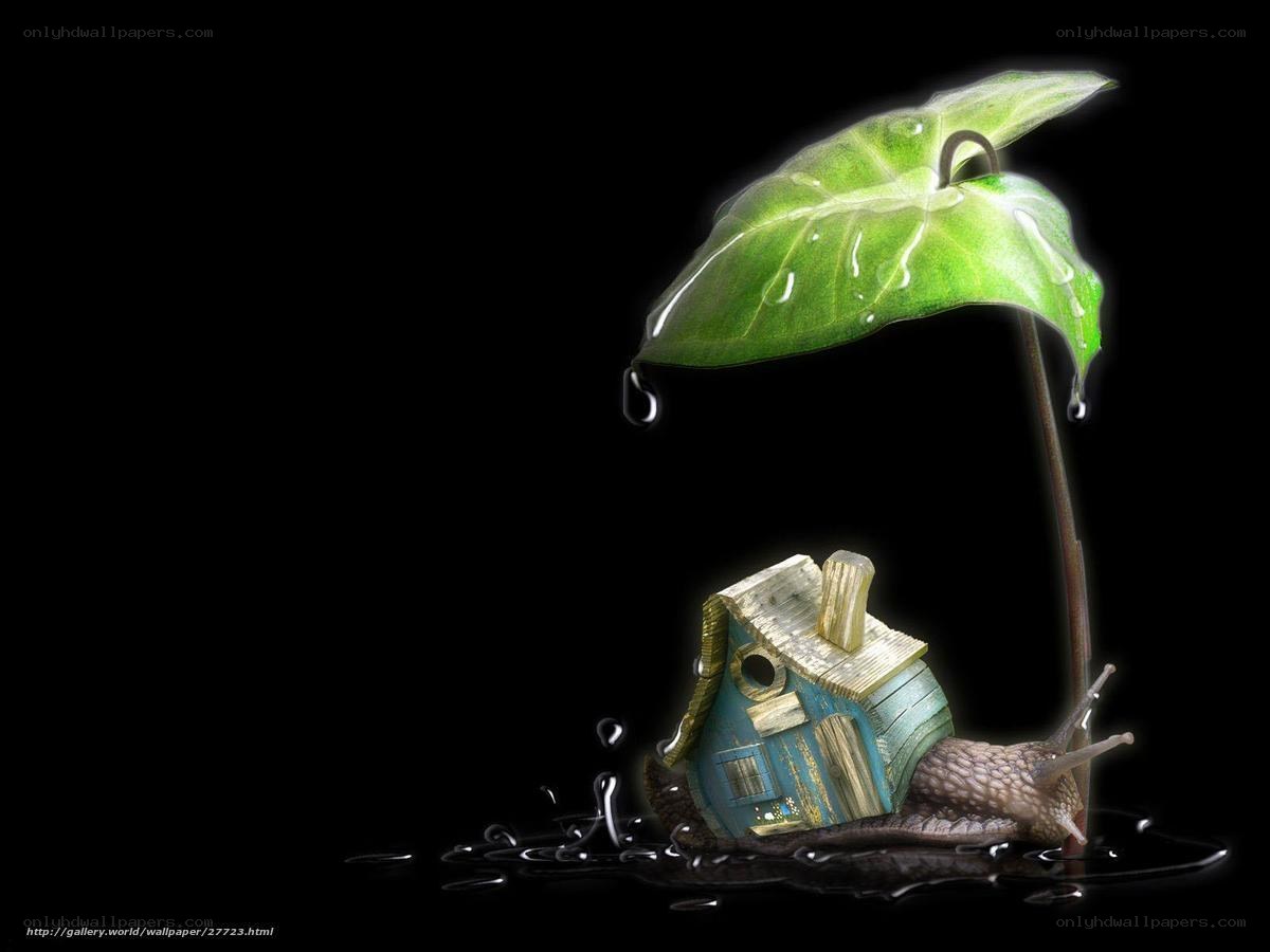 snail with leaf umbrella