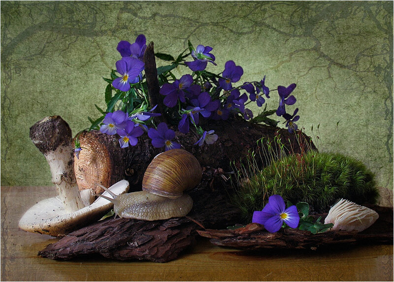 snail with purple flowers and mushrooms