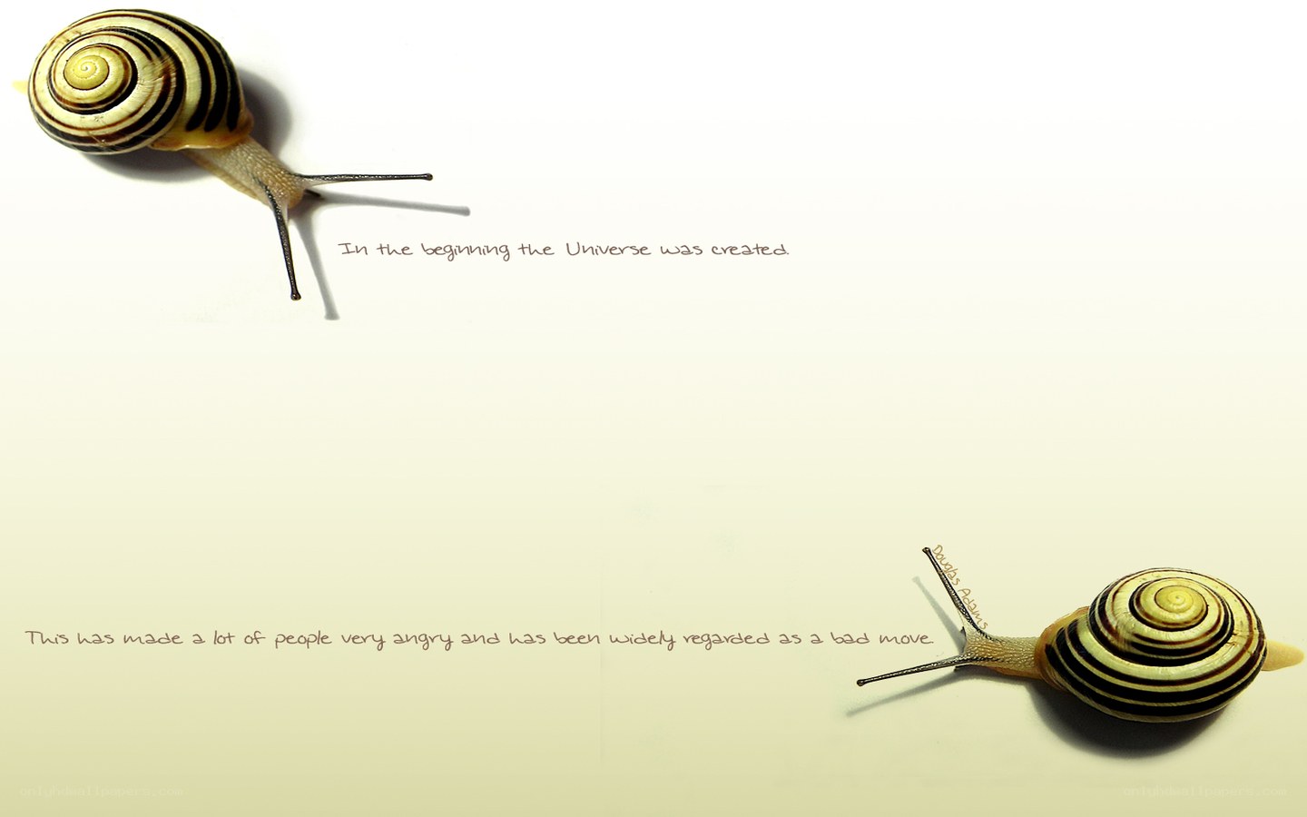 snails and universe quote