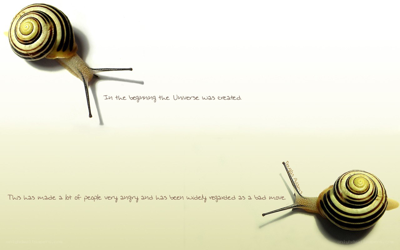 snails and universe quote