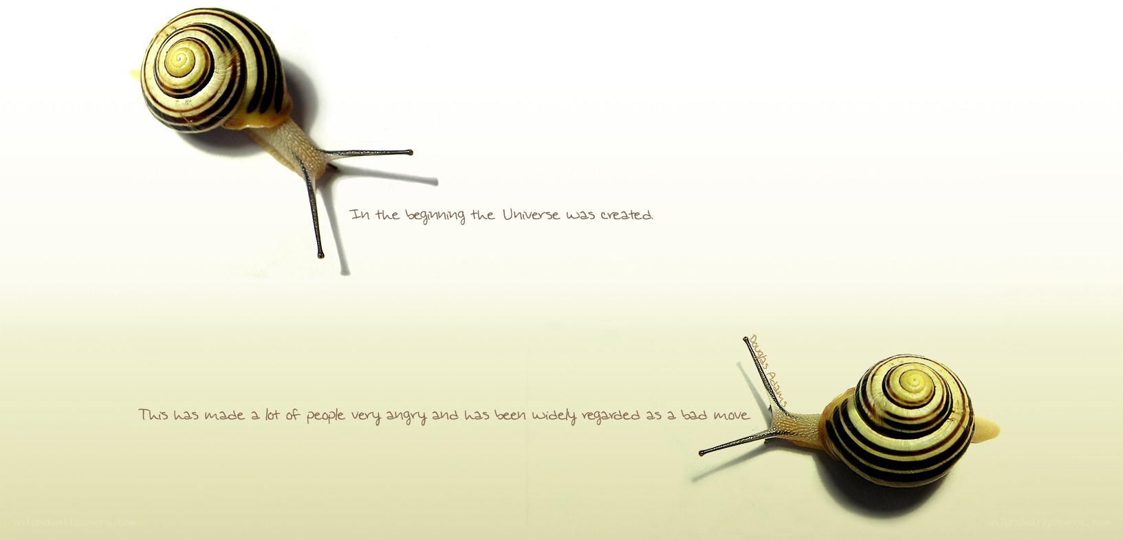 snails and universe text