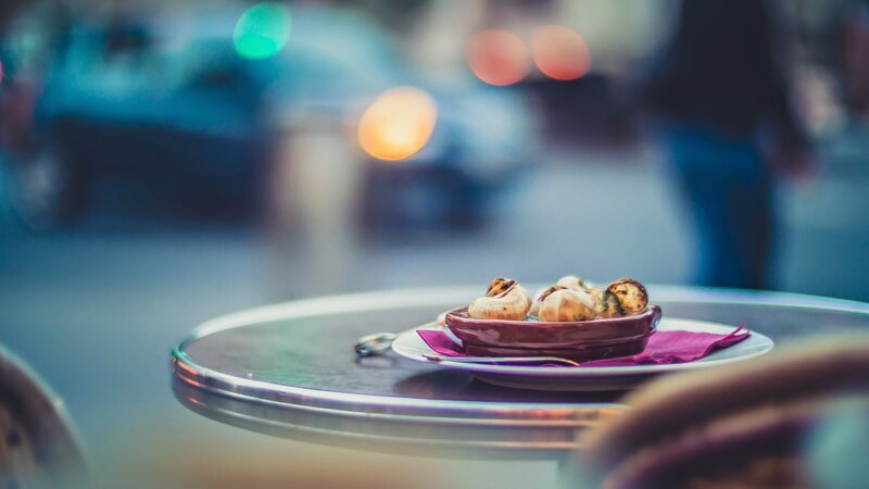 Snails in a Dish