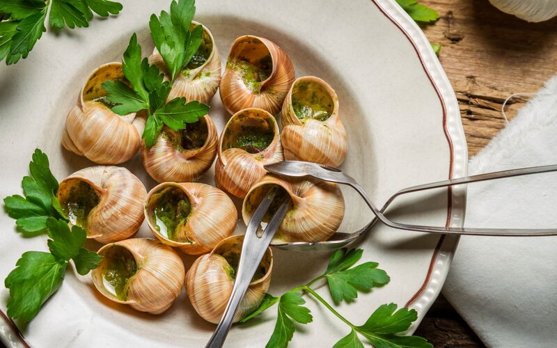 Snails in Shells