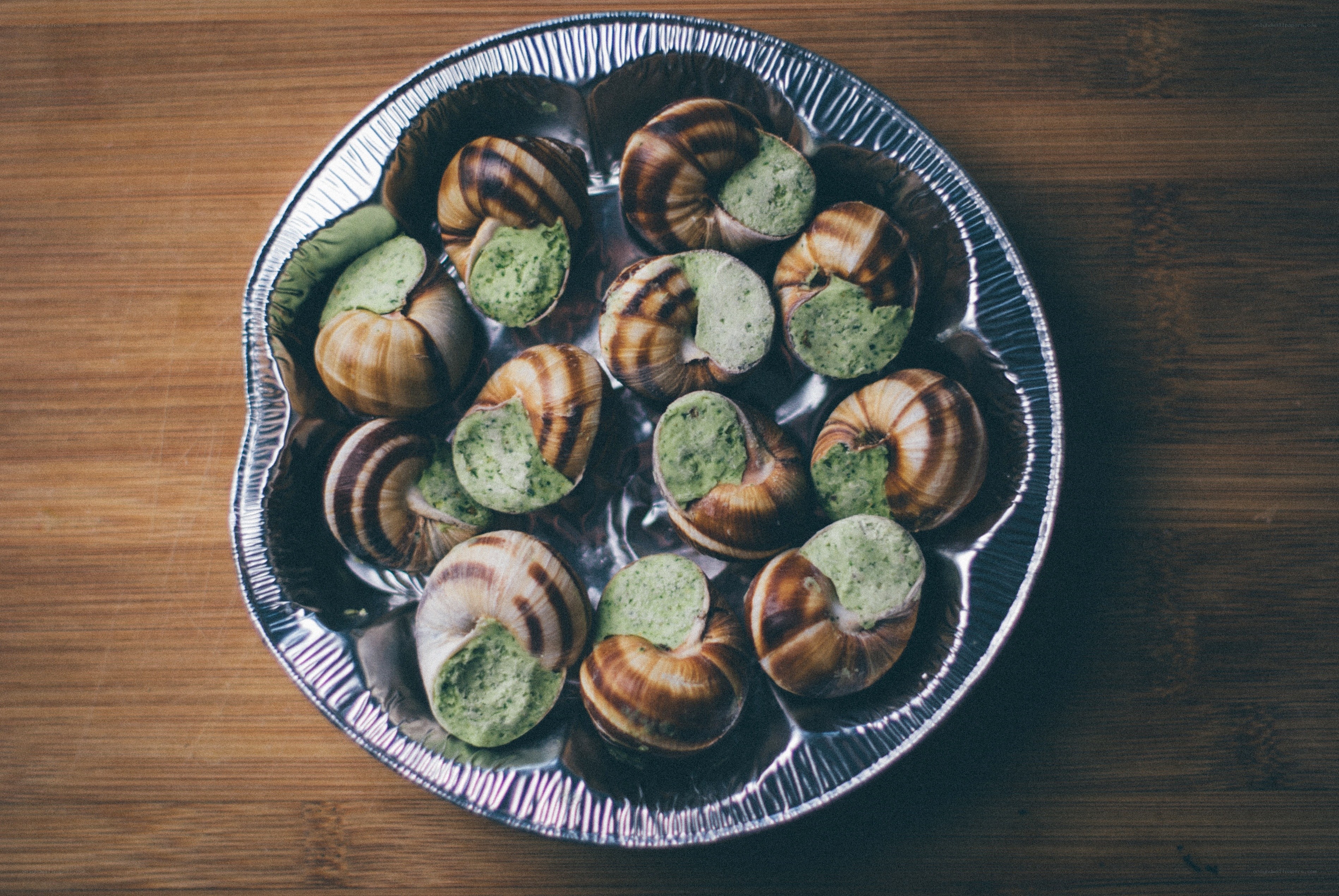 snails in shells with herb butter