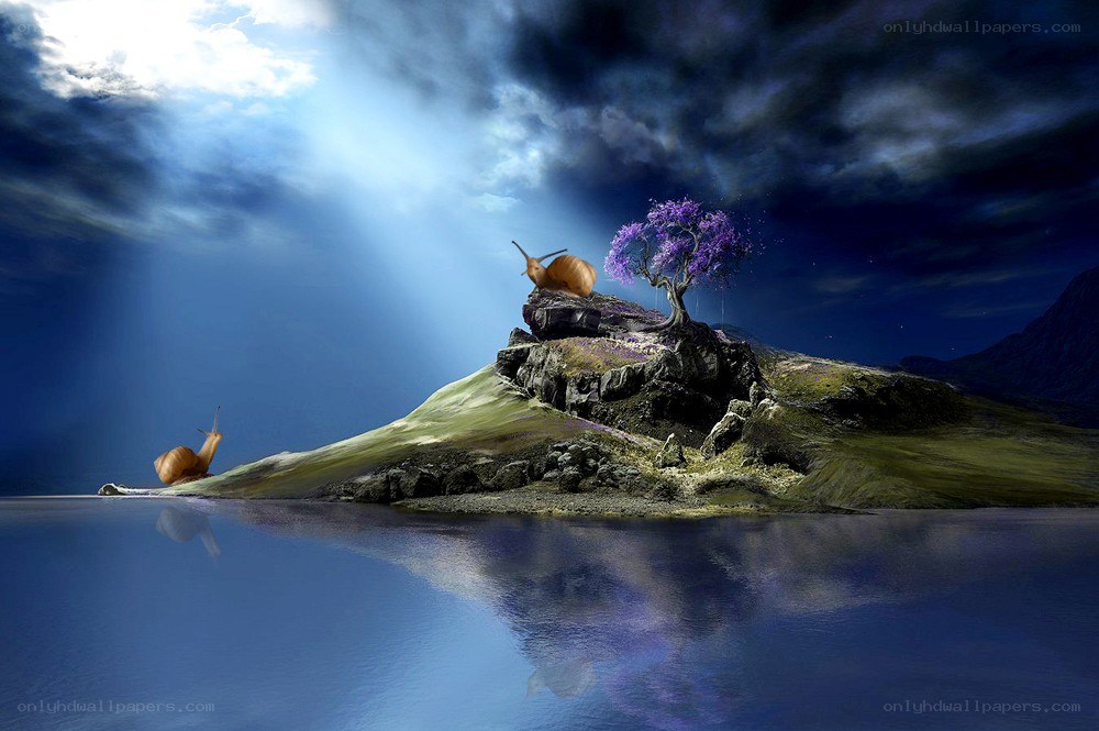 Snails on a mystical island