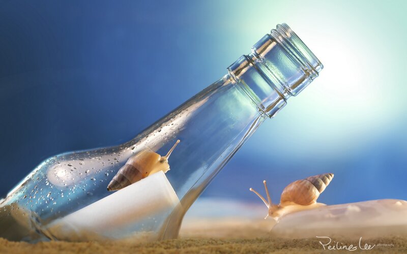 Snails on Beach Bottle — Blue