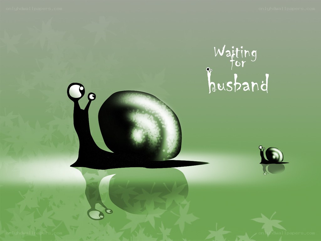 Snails waiting for husband