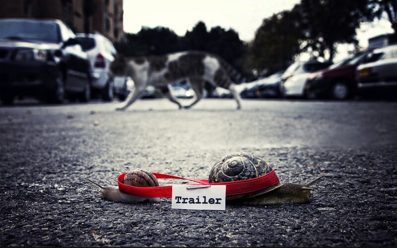 Snails with a trailer tag