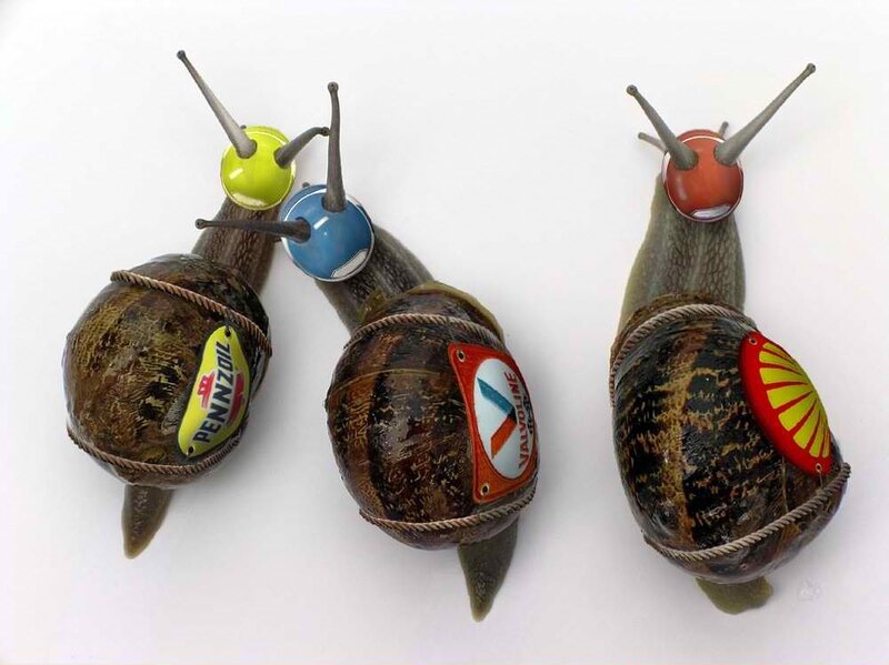 snails with sponsor logos
