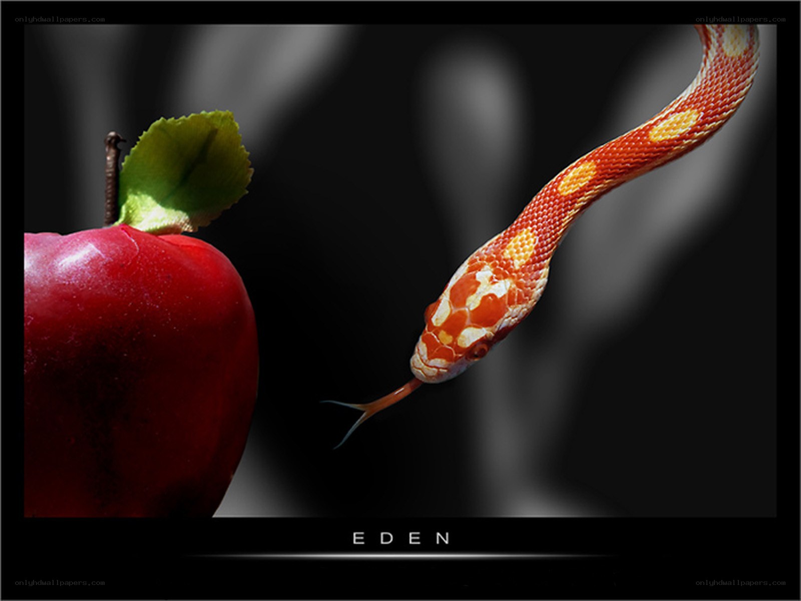 snake and apple in eden