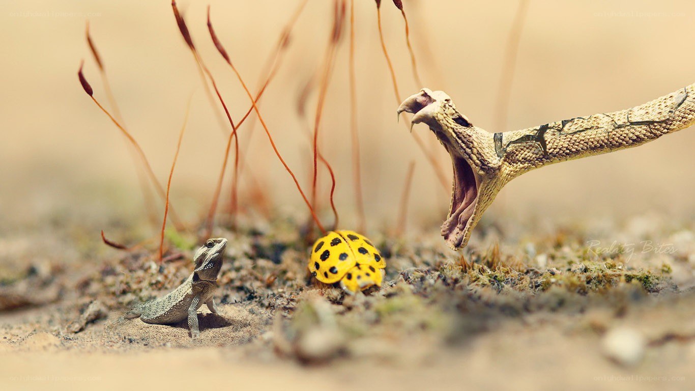 Snake attacks beetle in miniature scene