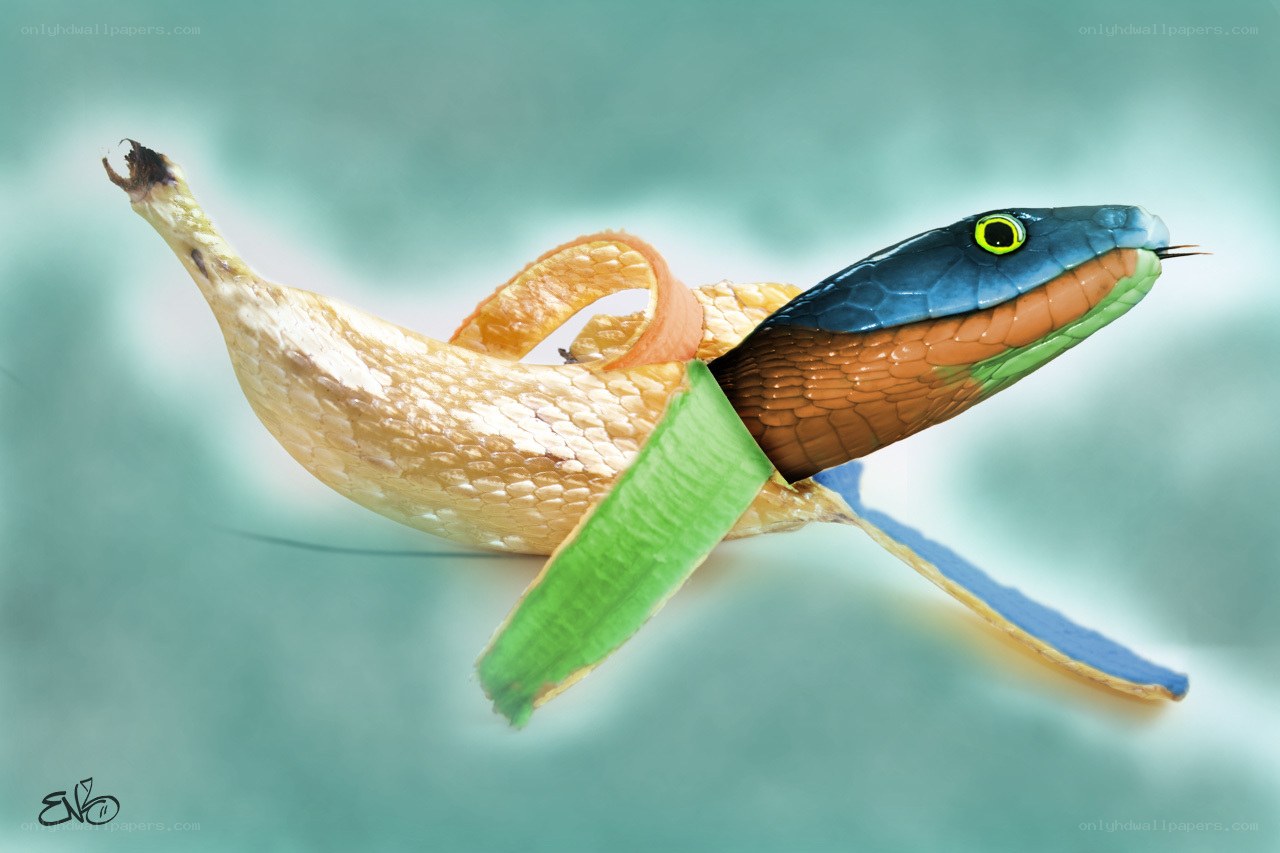 snake banana hybrid