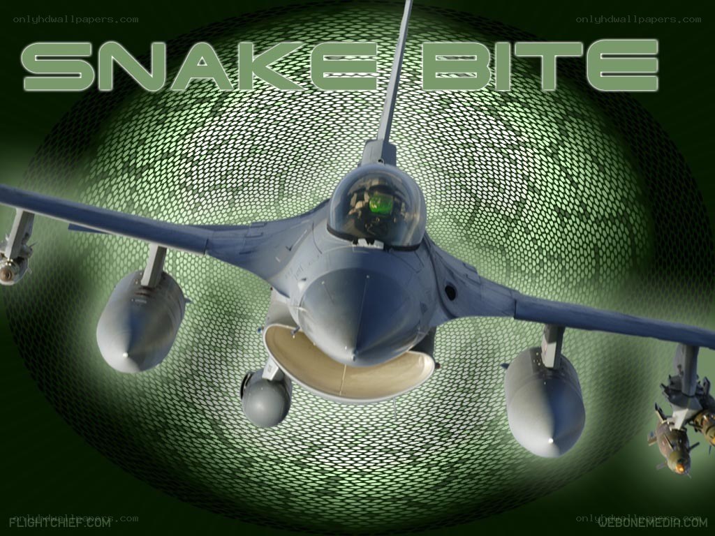 Snake Bite fighter jet
