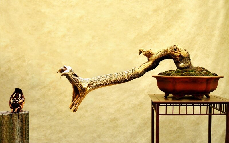 Snake bonsai sculpture