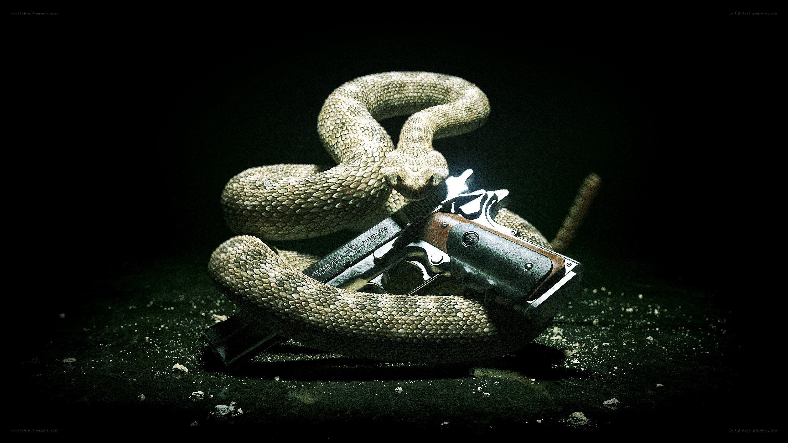 Snake coiled around a gun