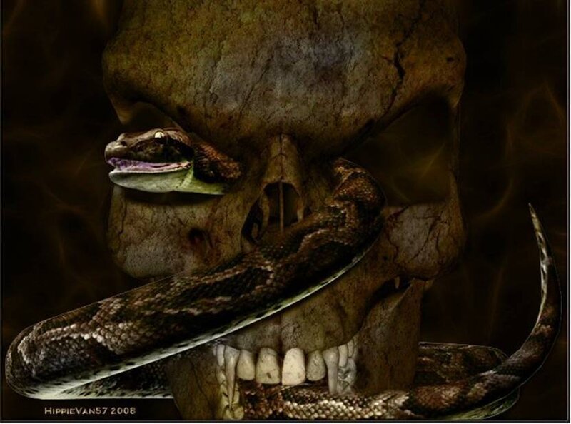 Snake coiled around a skull