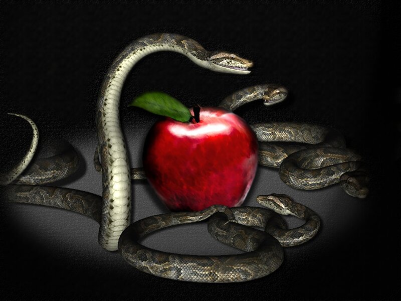 Snake Coiled Around Apple