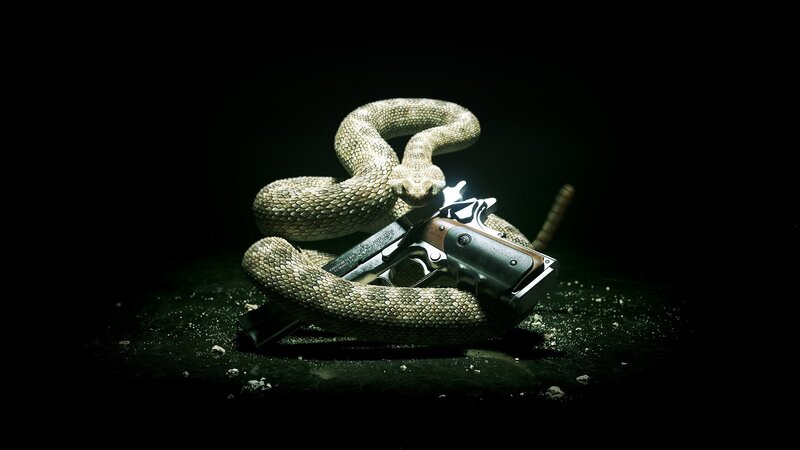 Snake Coiled Around Gun — Black, Dark