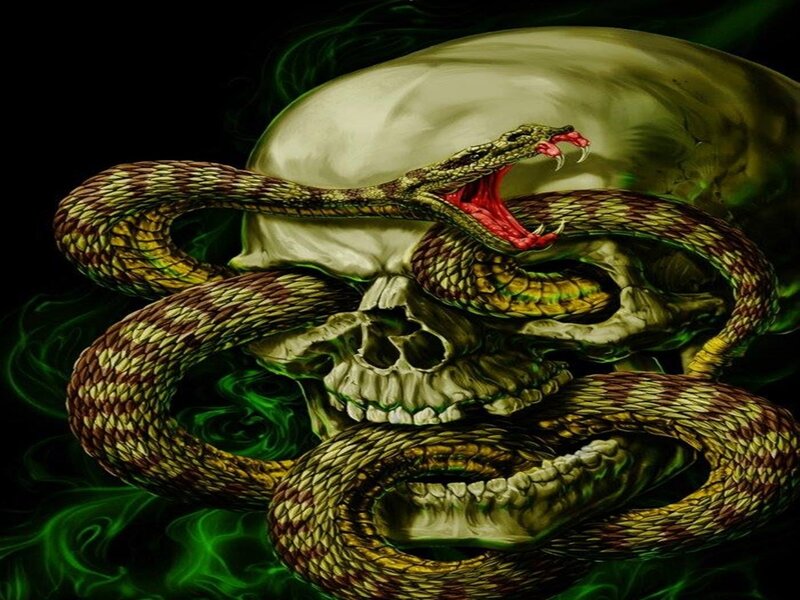 Snake Coiled Around Skull