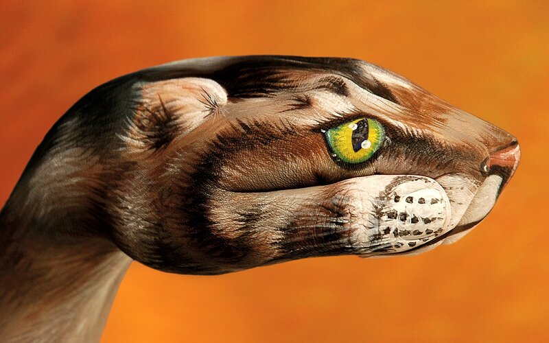 snake face painted on hand