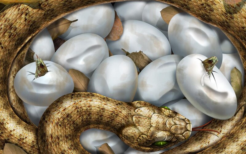 Snake Hatching Eggs — Brown, Dramatic