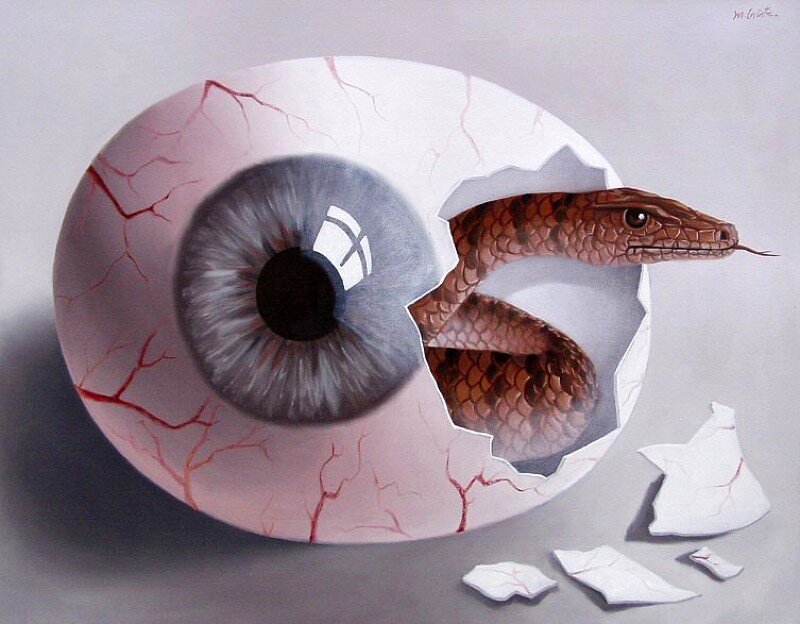 snake hatching from an eye