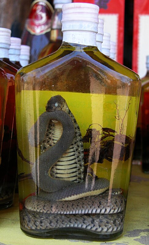 Snake in a bottle of alcohol