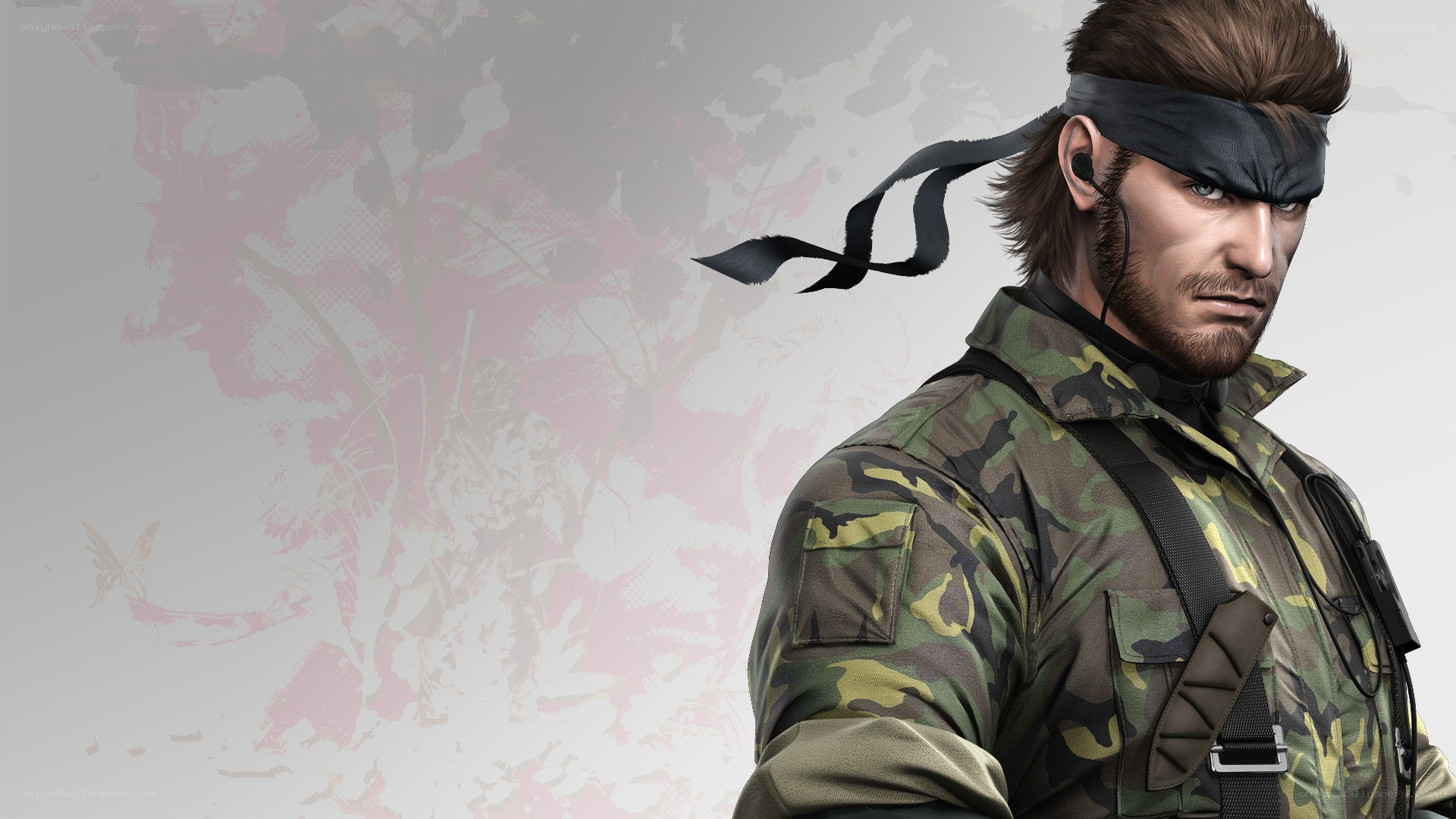 Snake in camouflage uniform