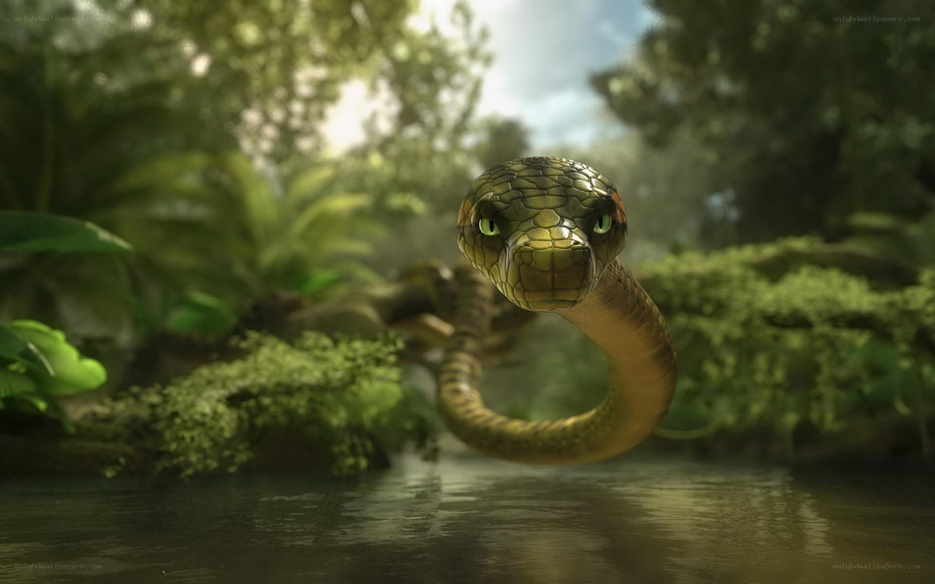 snake in jungle river