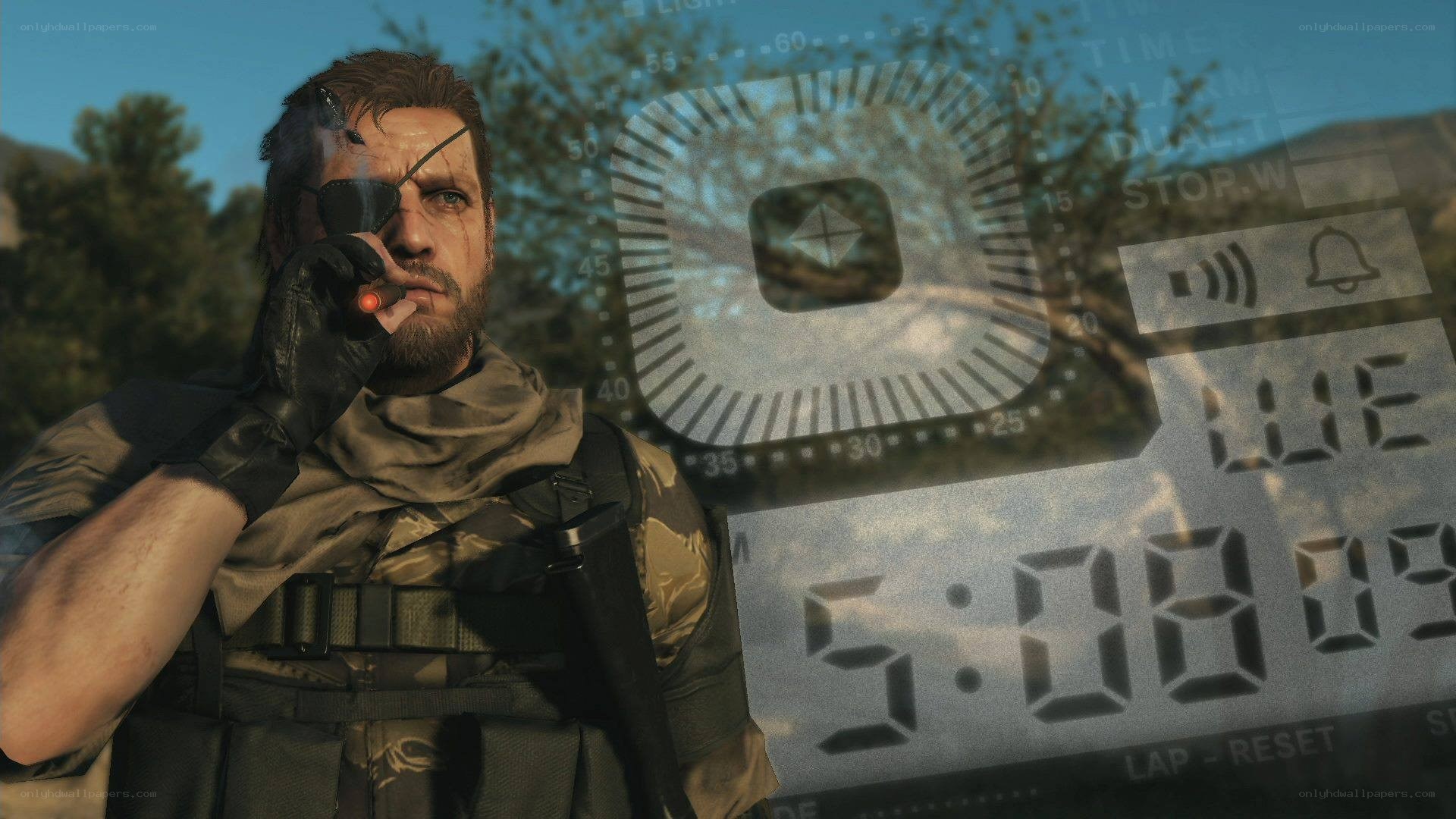 Snake in military gear