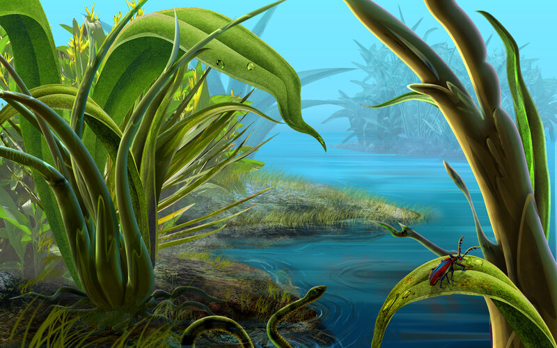Snake in River