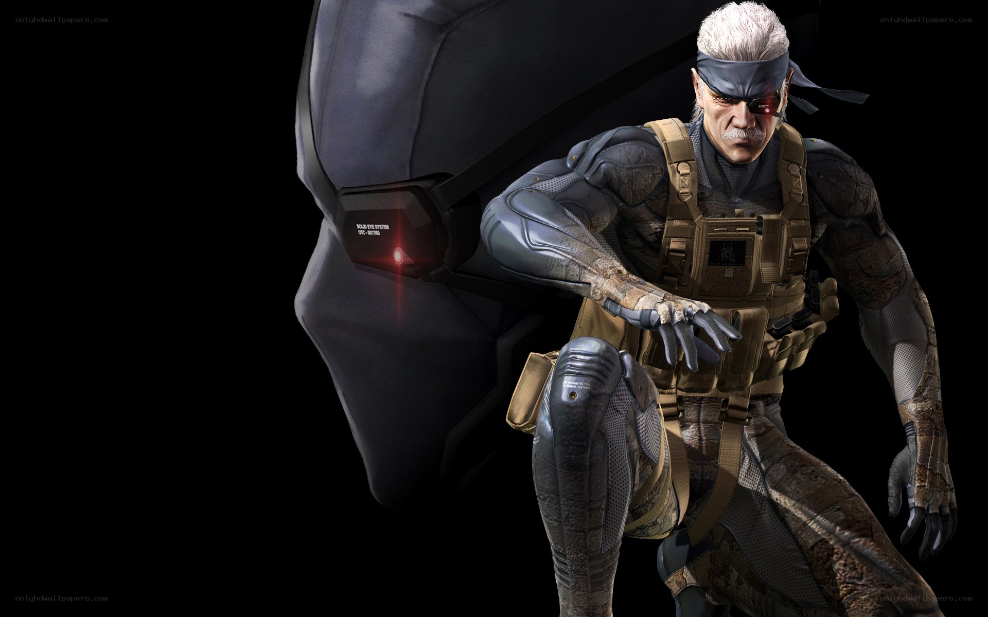 Snake in tactical gear