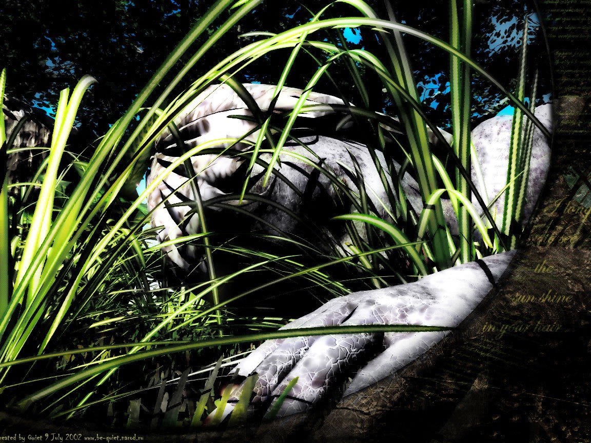 Snake in the grass