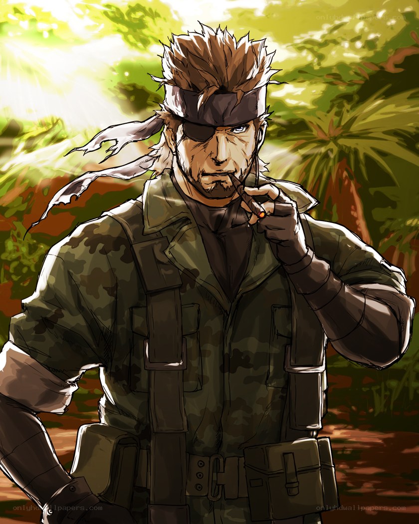 Snake in the jungle