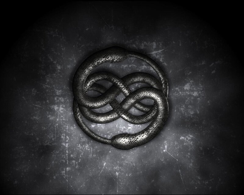 snake infinity symbol