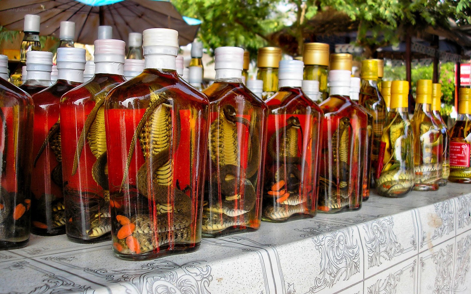 snake-infused liquor bottles