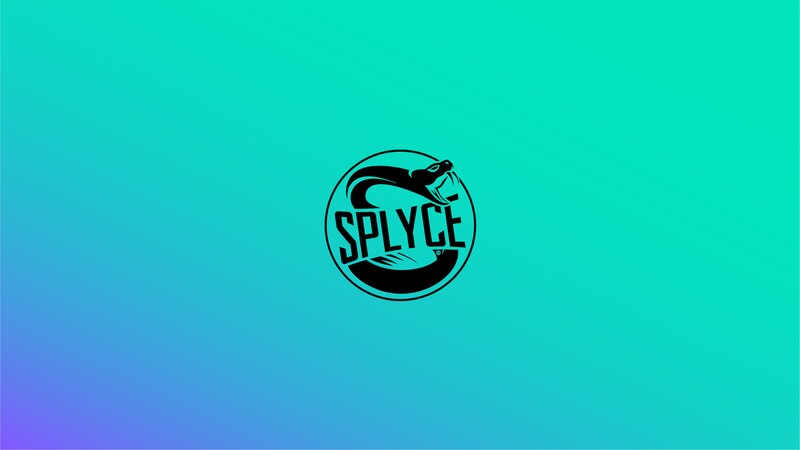Snake Logo on Gradient