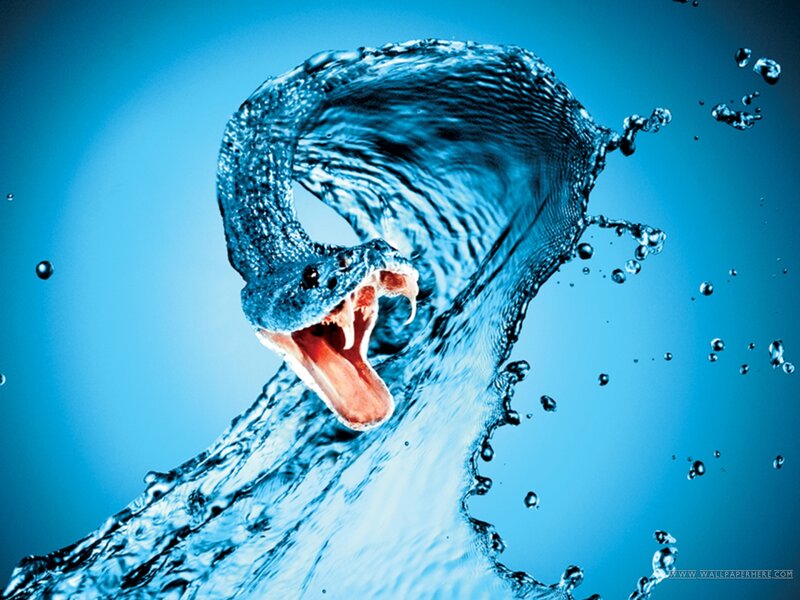Snake Made of Water