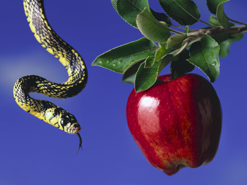 snake near red apple