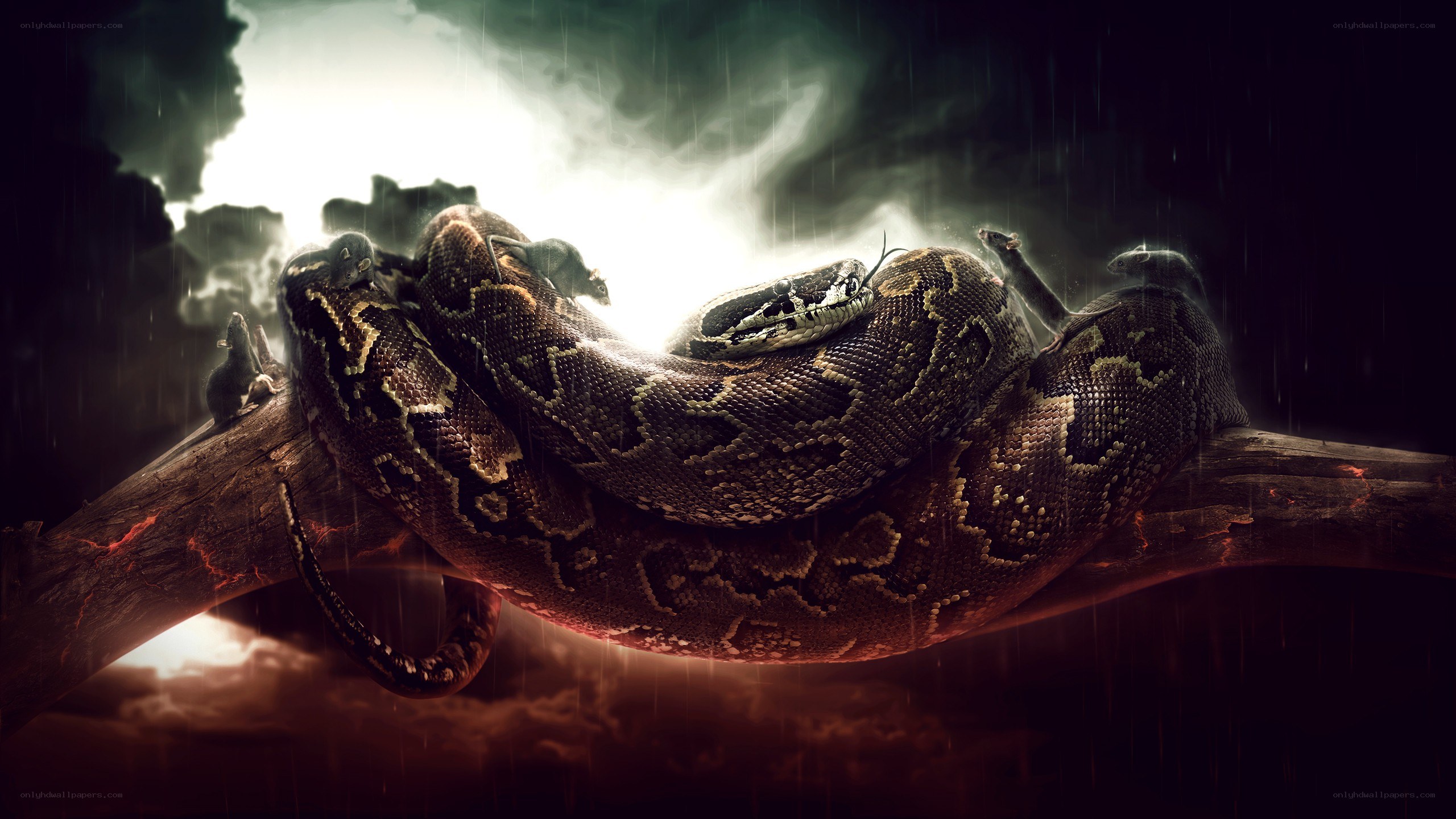 snake on a branch in storm