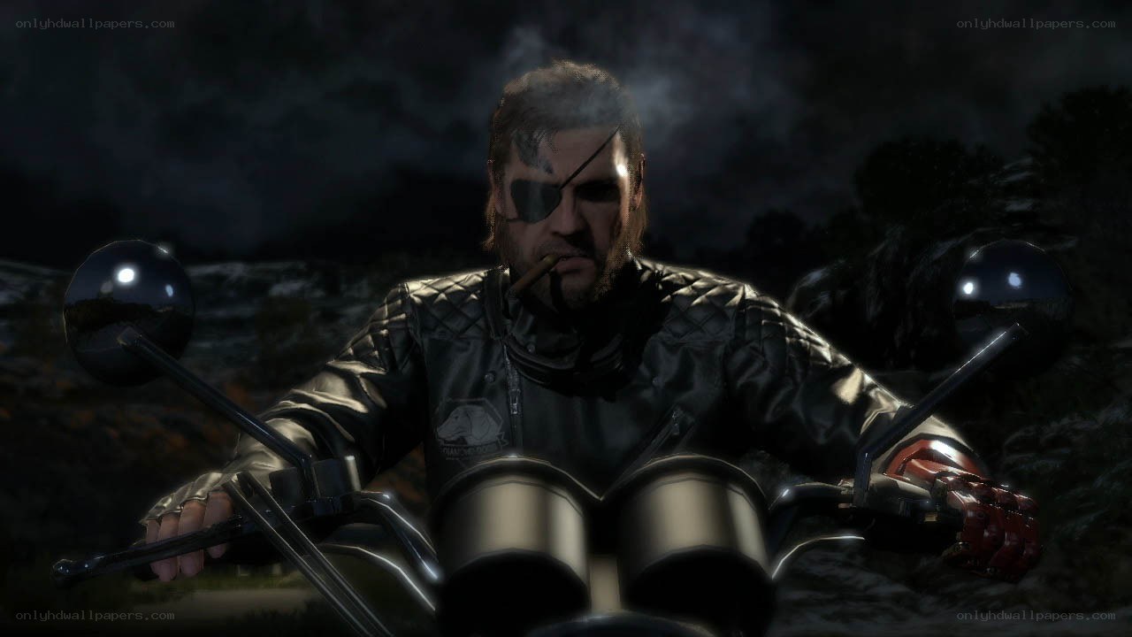 Snake on a motorcycle at night
