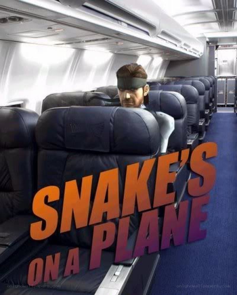 Snake on a Plane
