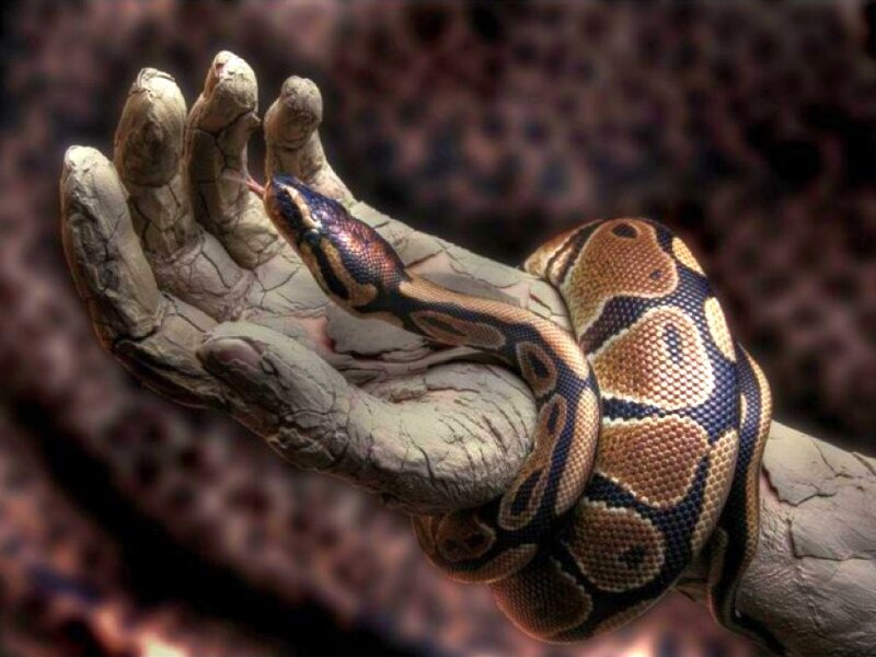 snake on a stone hand