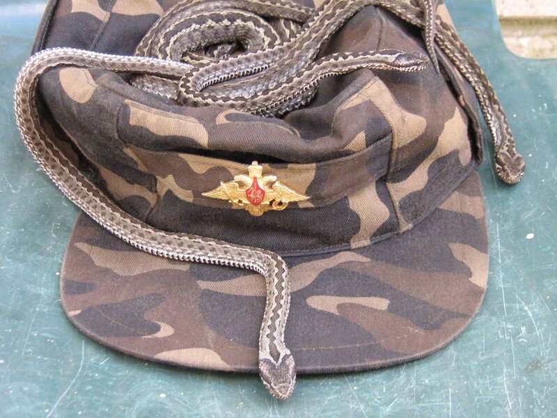Snake on Camouflage Hat